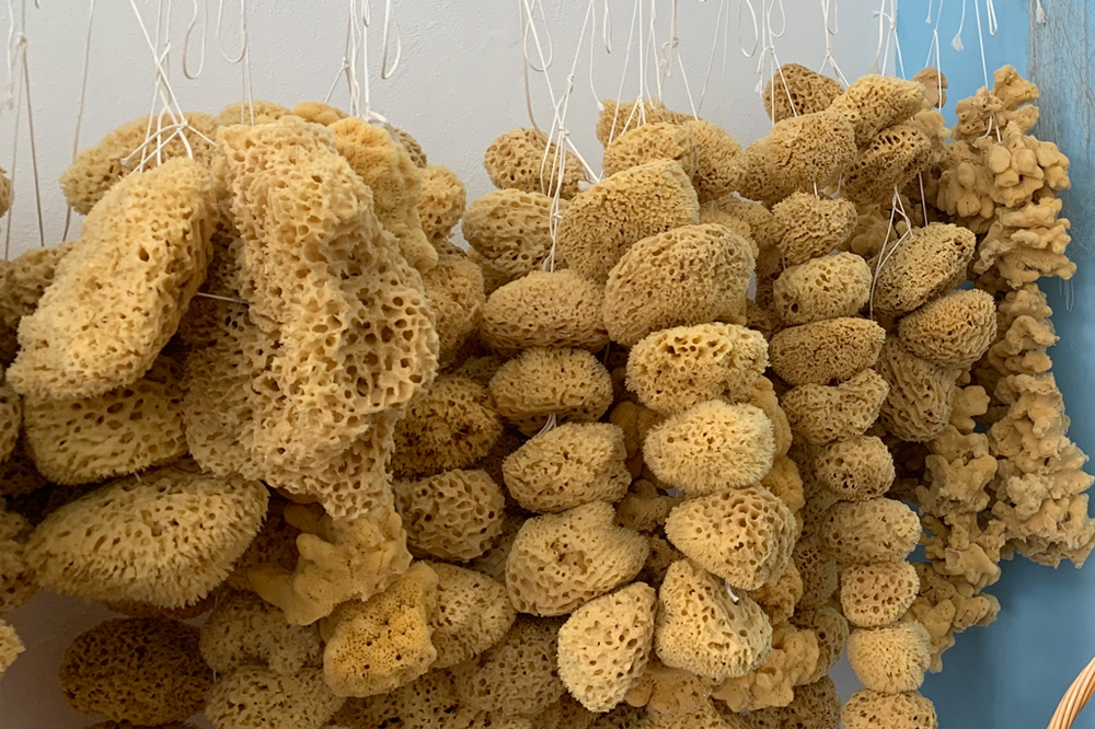 L’antica tradizione della pesca delle spugne di mare