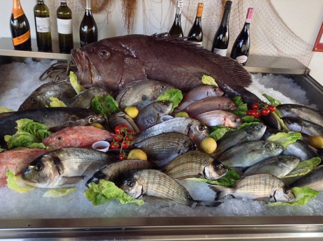 Trattoria Pescheria Azzurra & Azzurra Guest House: Tradizione di Mare e Ospitalità nel Cuore di Lampedusa — foto 5