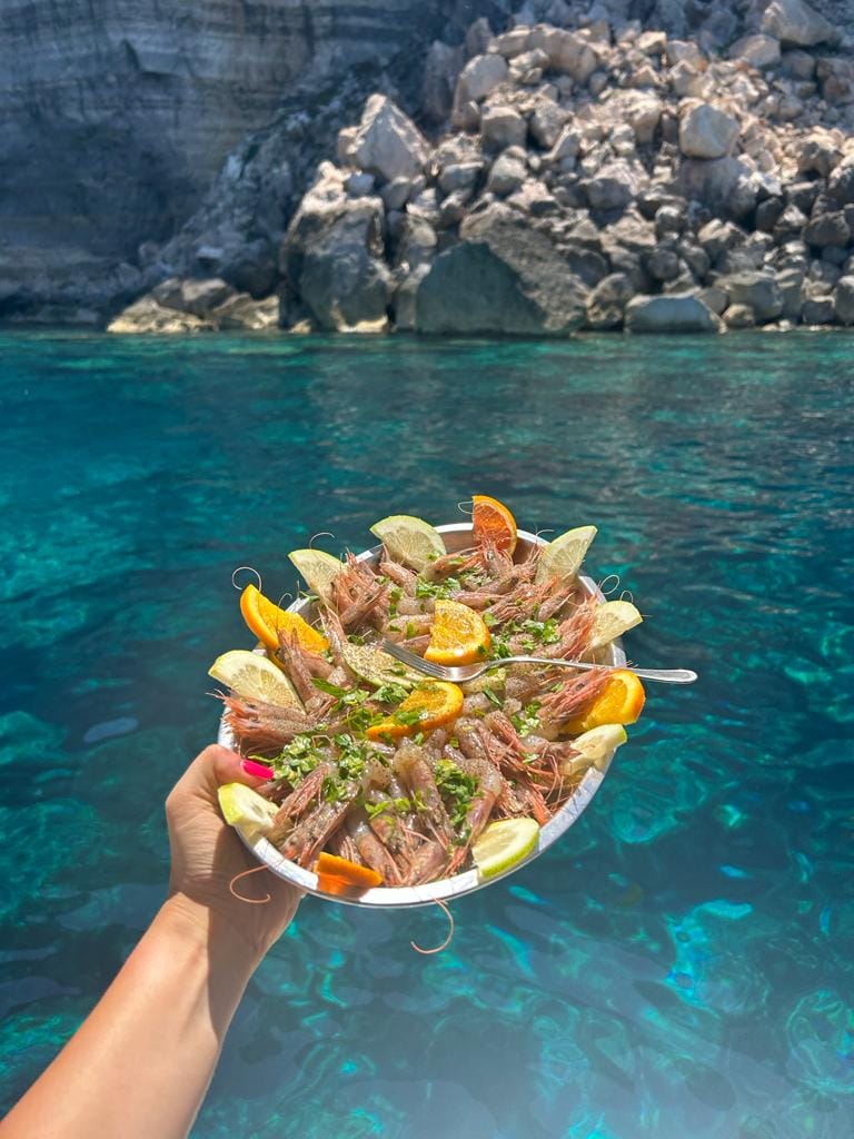 Barca Crystal – Tante le Proposte di Escursioni — foto 12