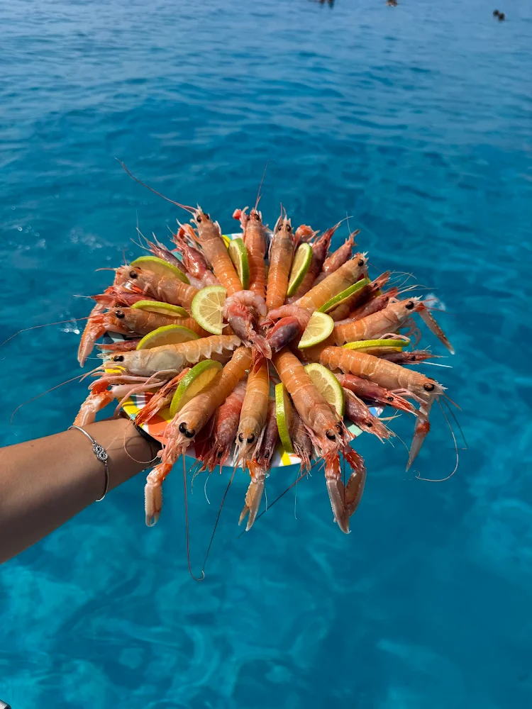 Giuseppina Madre: il mare di Lampedusa vissuto a bordo di un antico peschereccio — foto 10