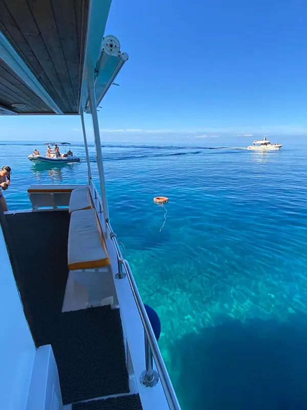 Gita in barca con Nino Paranzoto: mare cristallino, pranzo a bordo e tanta simpatia — foto 4