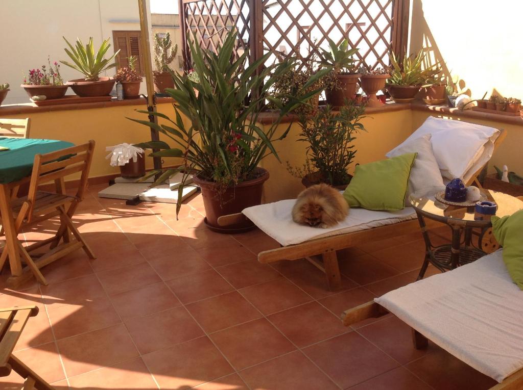 B&B Le Cale: comfort e accoglienza nel centro di Lampedusa — foto 11
