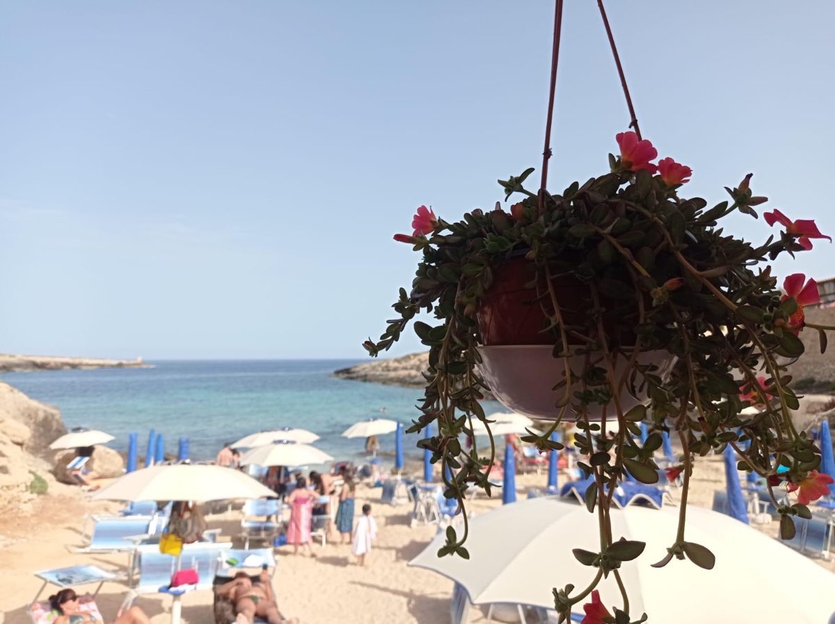 Benvenuti a Sciatu Persu – Il tuo Angolo di Paradiso sul Mare — foto 7