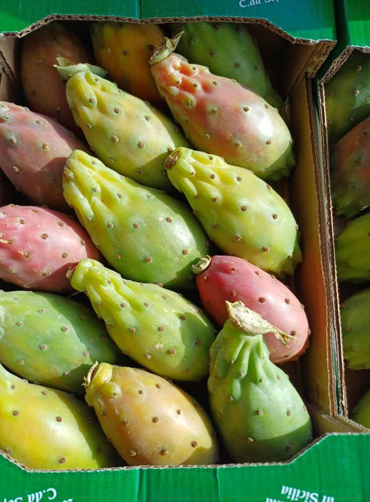 Fruttivendolo da Gino: sapori e colori autentici al Porto Nuovo di Lampedusa — foto 4