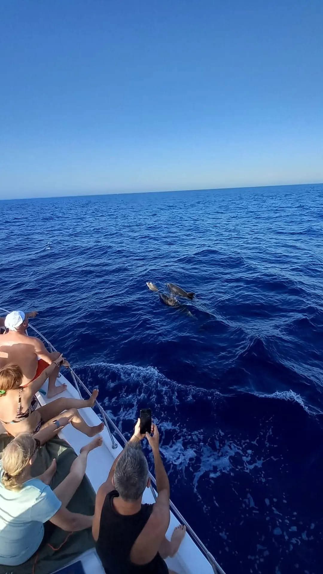 Un’esperienza indimenticabile con La Barca Zorro — foto 11
