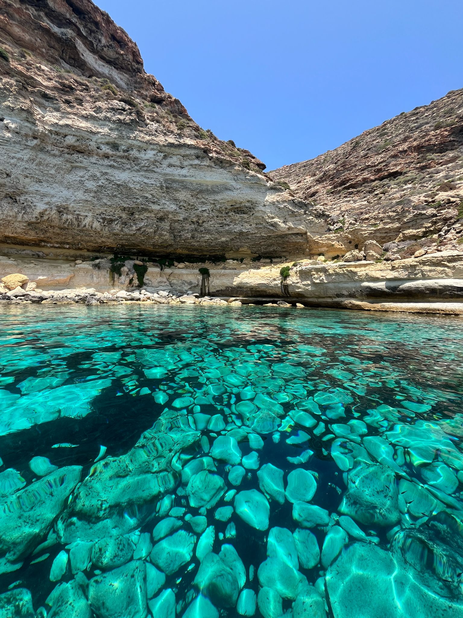 Un’esperienza indimenticabile con La Barca Zorro — foto 13