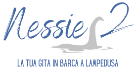 Gita in Barca con la Nessie 2 e Capitan Calogero — foto 9