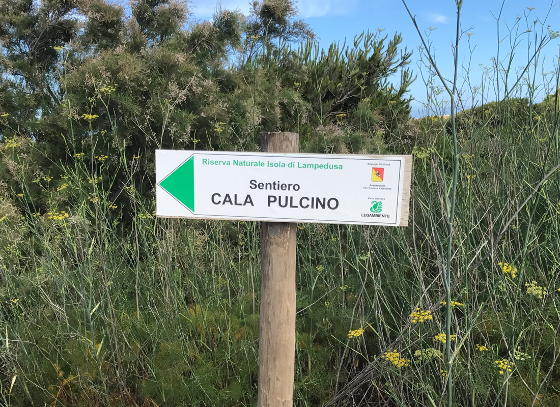 Il sentiero incontaminato di Cala Pulcino — foto 2