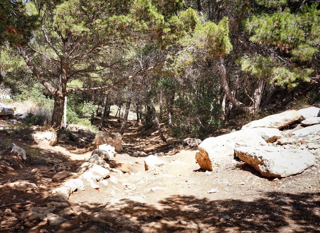 Il sentiero incontaminato di Cala Pulcino — foto 5
