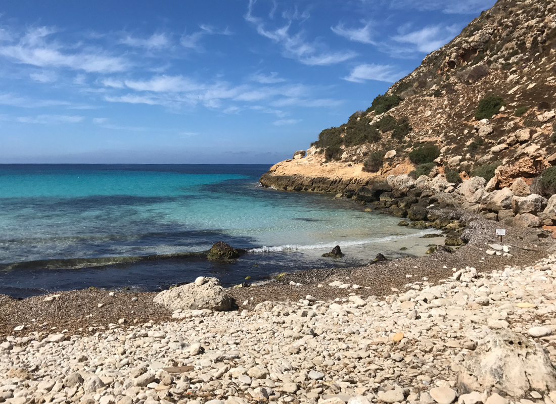 Il sentiero incontaminato di Cala Pulcino — foto 10