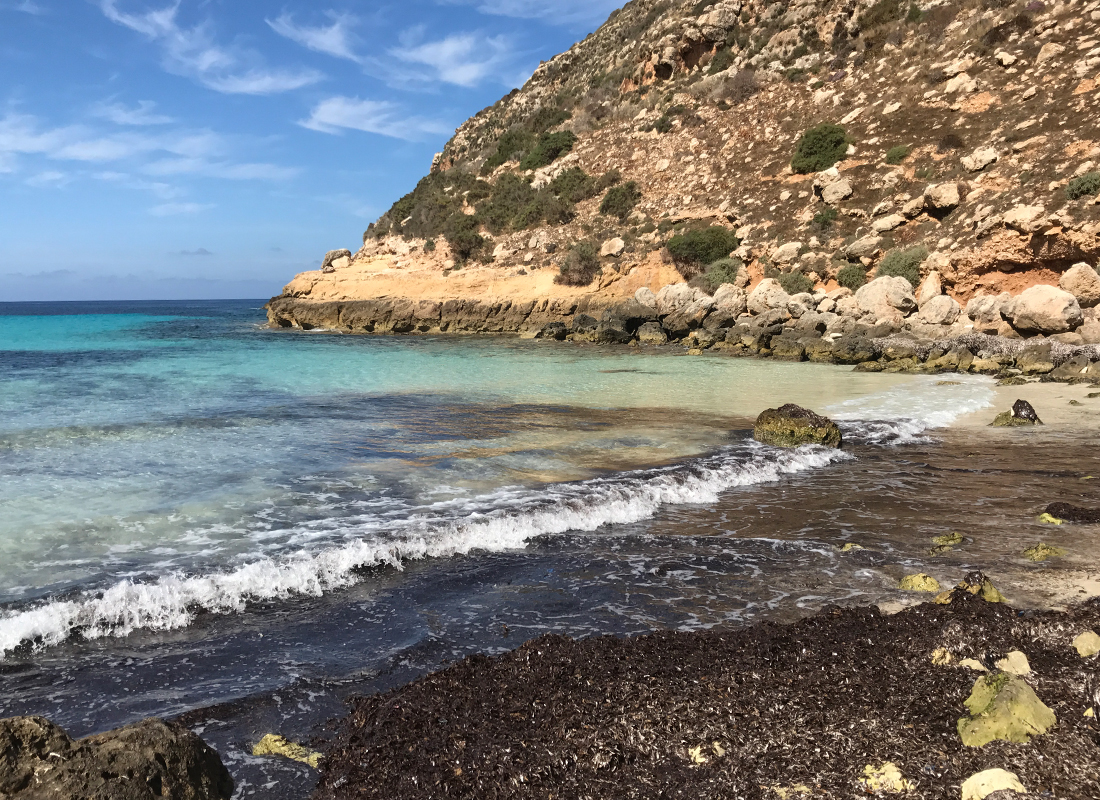 Il sentiero incontaminato di Cala Pulcino — foto 11