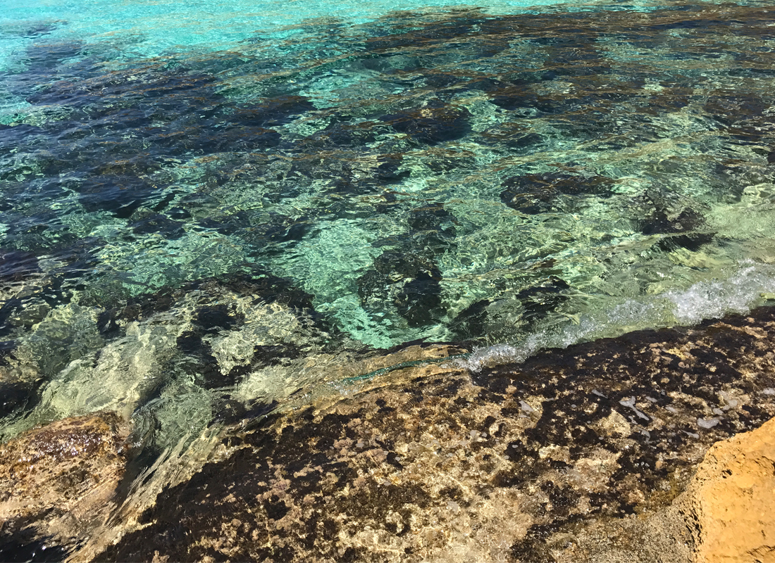 Il sentiero incontaminato di Cala Pulcino — foto 12