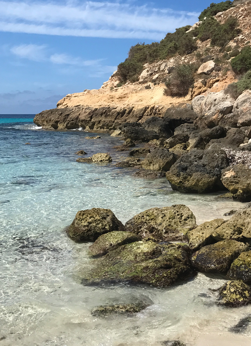 Il sentiero incontaminato di Cala Pulcino — foto 15