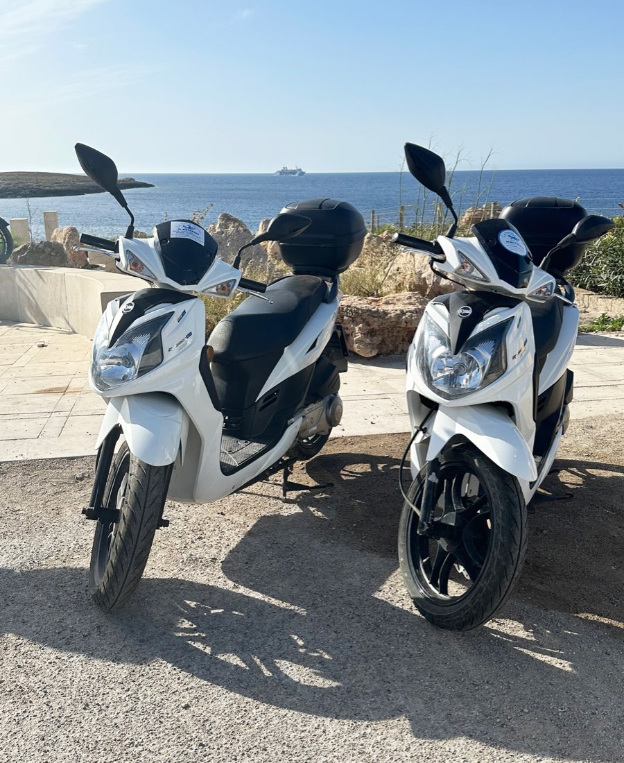 La Freccia Azzurra – Noleggio Service — foto 5