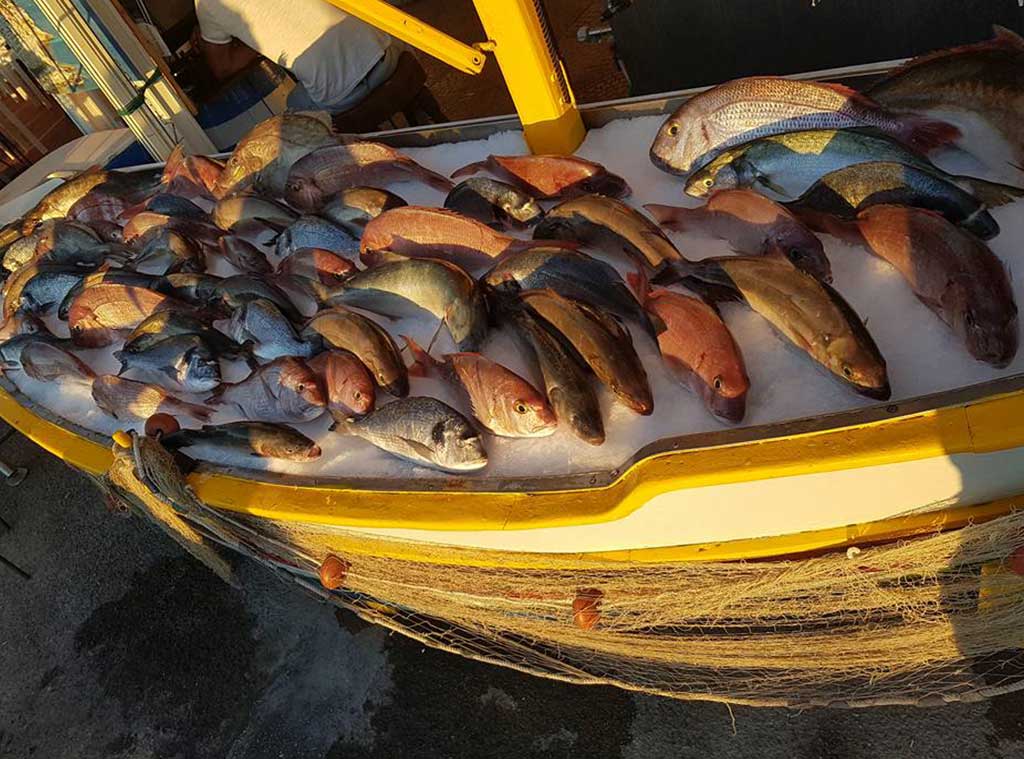 Mercatino del Pesce di Lampedusa: tra pescheria, ristorante e tradizione locale — foto 9
