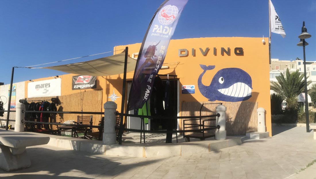 Moby Diving Center: il mare di Lampedusa da vivere davvero